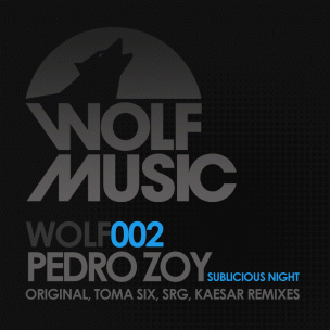 Pedro Zoy - Sublicious Night EP