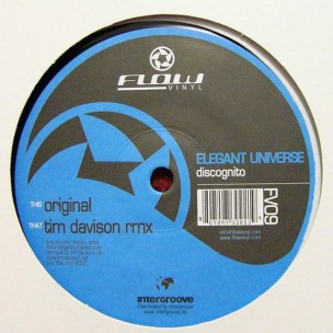 Elegant Universe - Discognito Ep