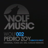 Pedro Zoy - Sublicious Night EP