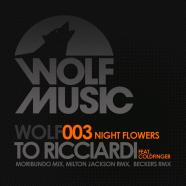 To Ricciardi feat Coldfinger - Nightflowers Ep